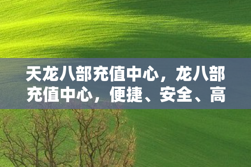 天龙八部充值中心，龙八部充值中心，便捷、安全、高效的充值体验