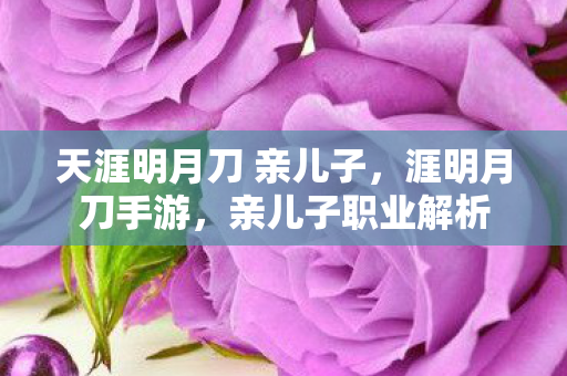 天涯明月刀 亲儿子，涯明月刀手游，亲儿子职业解析