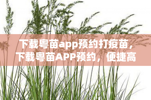 下载粤苗app预约打疫苗，下载粤苗APP预约，便捷高效，打造健康未来