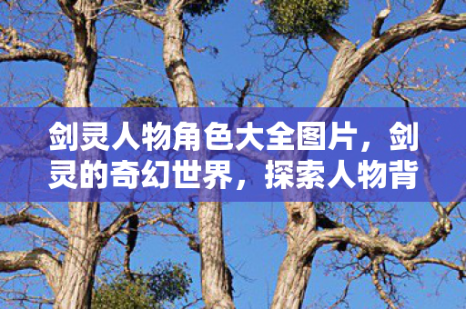 剑灵人物角色大全图片，剑灵的奇幻世界，探索人物背后的故事