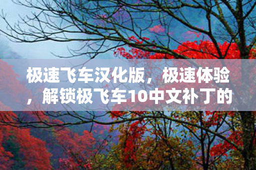 极速飞车汉化版，极速体验，解锁极飞车10中文补丁的无限可能