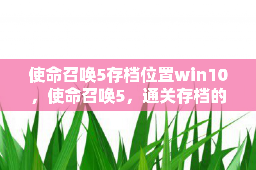 使命召唤5存档位置win10，使命召唤5，通关存档的珍贵回忆