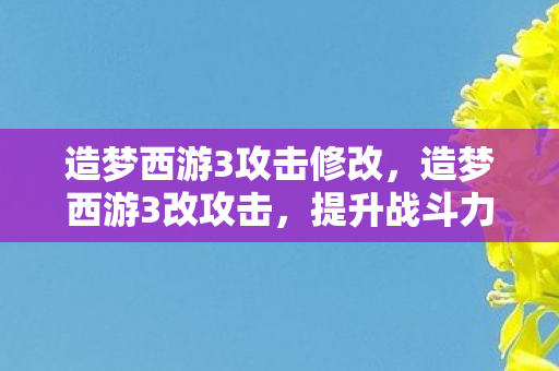 造梦西游3攻击修改，造梦西游3改攻击，提升战斗力的合法途径