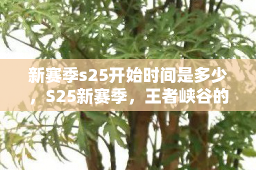 新赛季s25开始时间是多少，S25新赛季，王者峡谷的荣耀再燃