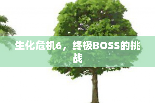 生化危机6，终极BOSS的挑战