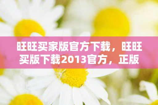 旺旺买家版官方下载，旺旺买版下载2013官方，正版资源，安心享受