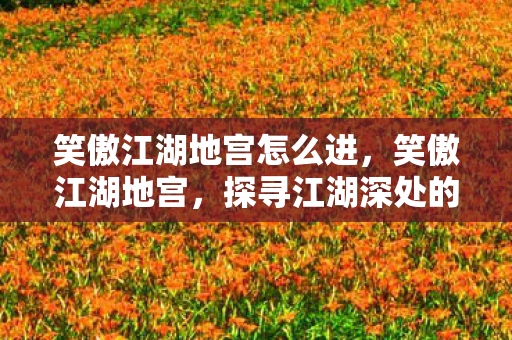 笑傲江湖地宫怎么进，笑傲江湖地宫，探寻江湖深处的神秘宝藏