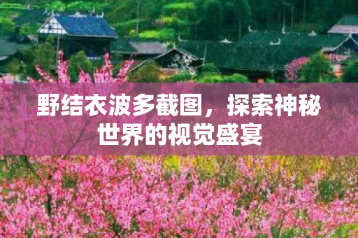 野结衣波多截图，探索神秘世界的视觉盛宴