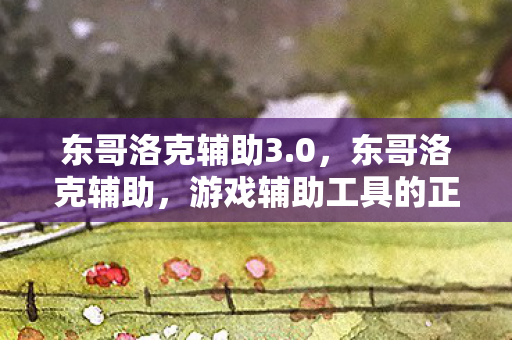 东哥洛克辅助3.0，东哥洛克辅助，游戏辅助工具的正确使用与注意事项