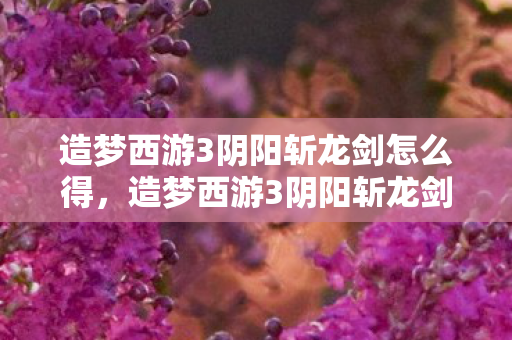 造梦西游3阴阳斩龙剑怎么得，造梦西游3阴阳斩龙剑，探寻古老传说的神秘力量