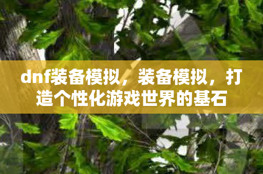 dnf装备模拟，装备模拟，打造个性化游戏世界的基石