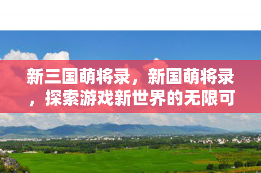 新三国萌将录，新国萌将录，探索游戏新世界的无限可能