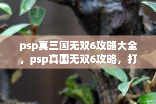 psp真三国无双6攻略大全，psp真国无双6攻略，打造最强武将，征服乱世！