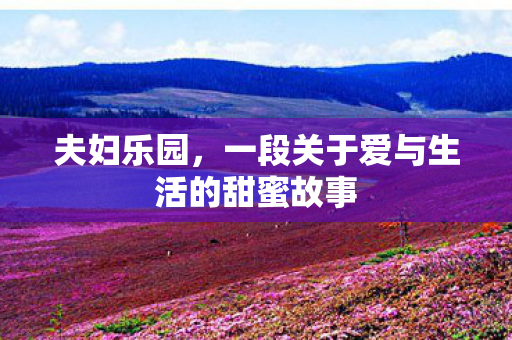 夫妇乐园,一段关于爱与生活的甜蜜故事 夫妇乐园,一段关于爱与生活的甜蜜故事