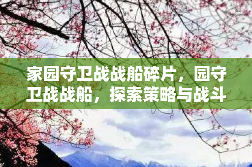 家园守卫战战船碎片，园守卫战战船，探索策略与战斗的艺术