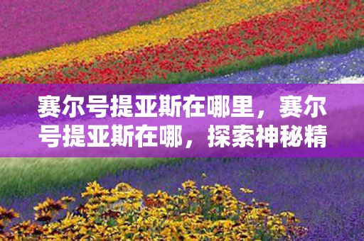 赛尔号提亚斯在哪里，赛尔号提亚斯在哪，探索神秘精灵的踪迹