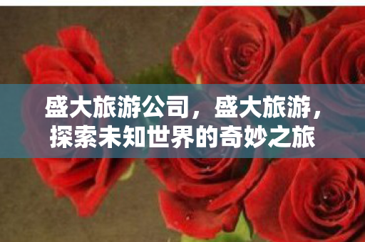 盛大旅游公司，盛大旅游，探索未知世界的奇妙之旅