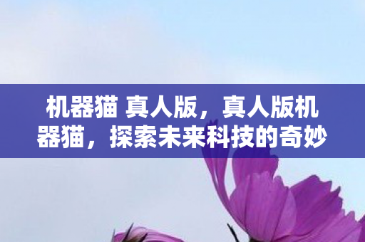 机器猫 真人版，真人版机器猫，探索未来科技的奇妙之旅