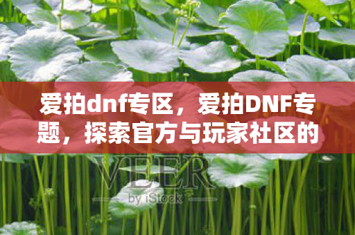 爱拍dnf专区，爱拍DNF专题，探索官方与玩家社区的互动新体验