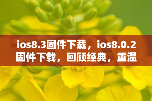 ios8.3固件下载，ios8.0.2固件下载，回顾经典，重温旧梦