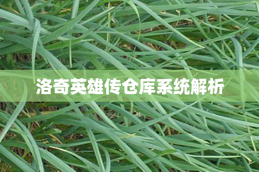 洛奇英雄传仓库系统解析