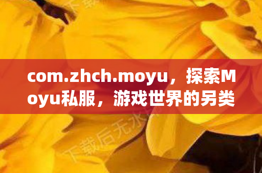 com.zhch.moyu，探索Moyu私服，游戏世界的另类维度