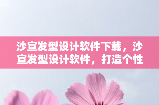 沙宣发型设计软件下载，沙宣发型设计软件，打造个性化发型的创意工具
