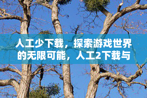 人工少下载，探索游戏世界的无限可能，人工2下载与游戏资源分享的新篇章