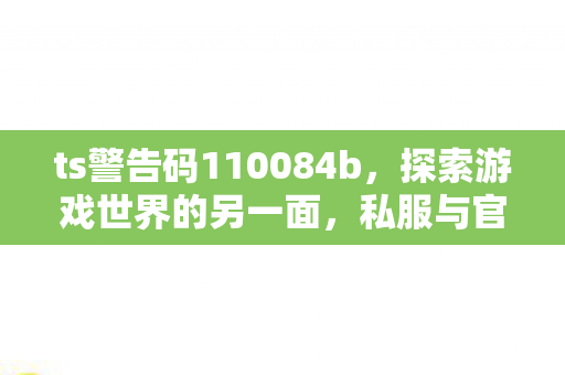 ts警告码110084b，探索游戏世界的另一面，私服与官方服务的差异与影响