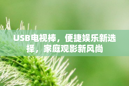 USB电视棒，便捷娱乐新选择，家庭观影新风尚