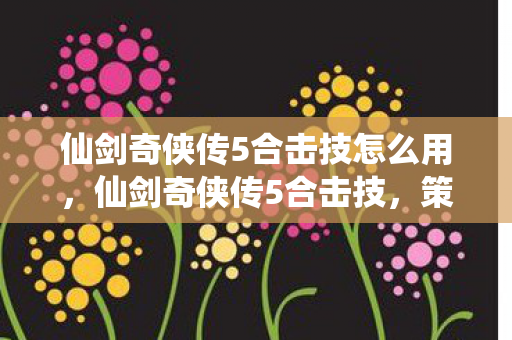 仙剑奇侠传5合击技怎么用，仙剑奇侠传5合击技，策略与艺术的完美融合