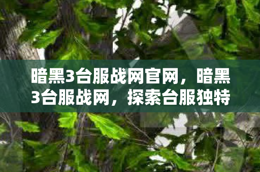 暗黑3台服战网官网，暗黑3台服战网，探索台服独特魅力与玩家心声