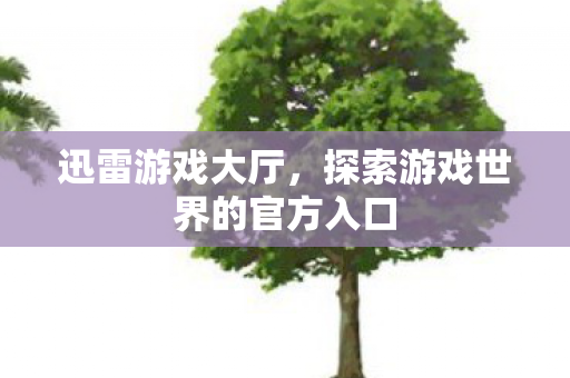 迅雷游戏大厅，探索游戏世界的官方入口