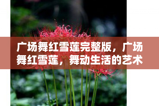 广场舞红雪莲完整版，广场舞红雪莲，舞动生活的艺术，传承文化的魅力