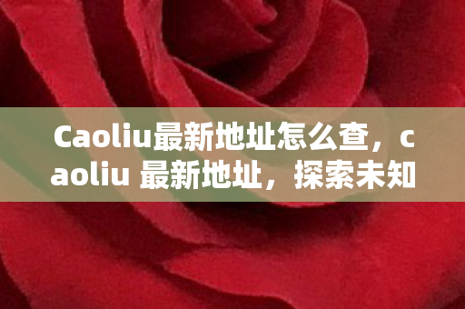 Caoliu最新地址怎么查，caoliu 最新地址，探索未知的数字娱乐新天地