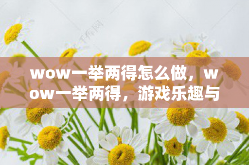 wow一举两得怎么做，wow一举两得，游戏乐趣与社交互动的完美融合