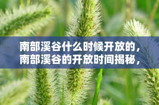 南部溪谷什么时候开放的，南部溪谷的开放时间揭秘，探索自然奇景的最佳时机