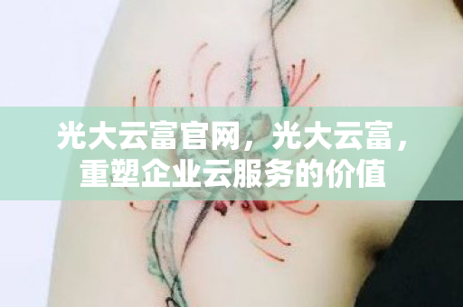 光大云富官网，光大云富，重塑企业云服务的价值