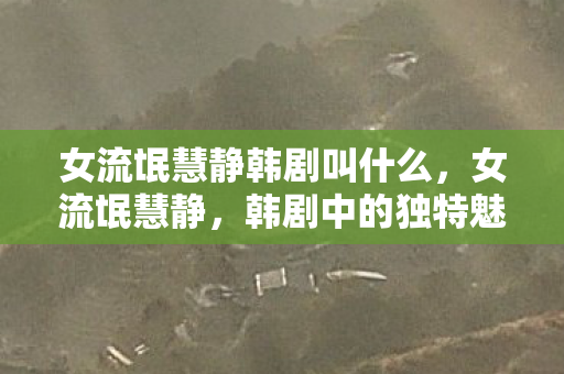 女流氓慧静韩剧叫什么，女流氓慧静，韩剧中的独特魅力