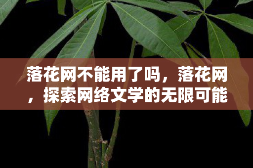 落花网不能用了吗，落花网，探索网络文学的无限可能