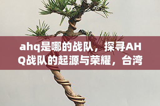 ahq是哪的战队，探寻AHQ战队的起源与荣耀，台湾电竞的璀璨明珠