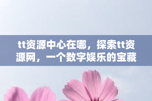 tt资源中心在哪，探索tt资源网，一个数字娱乐的宝藏