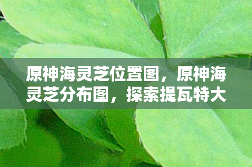 原神海灵芝位置图，原神海灵芝分布图，探索提瓦特大陆的神秘宝藏