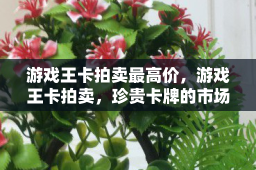 游戏王卡拍卖最高价，游戏王卡拍卖，珍贵卡牌的市场风云