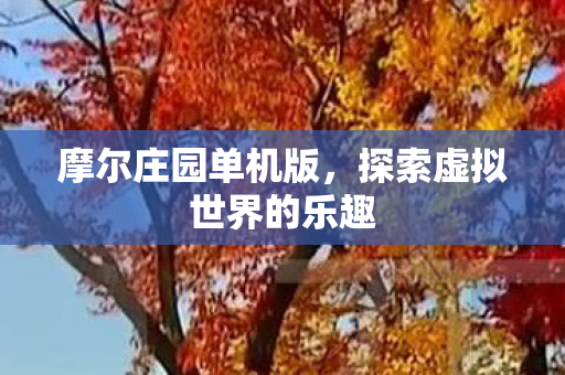 摩尔庄园单机版，探索虚拟世界的乐趣