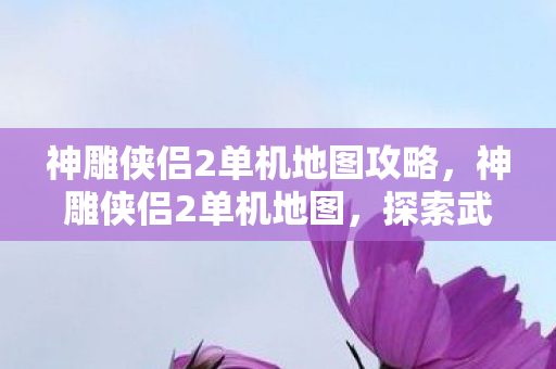 神雕侠侣2单机地图攻略，神雕侠侣2单机地图，探索武侠世界的奇妙之旅