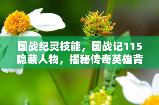 国战纪灵技能，国战记115隐藏人物，揭秘传奇英雄背后的传奇故事