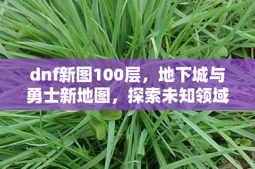 dnf新图100层，地下城与勇士新地图，探索未知领域的冒险之旅