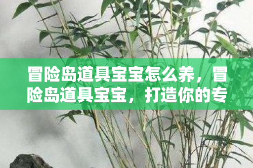 冒险岛道具宝宝怎么养，冒险岛道具宝宝，打造你的专属冒险伙伴