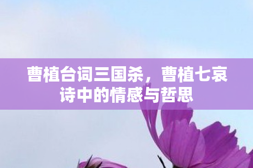 曹植台词三国杀，曹植七哀诗中的情感与哲思